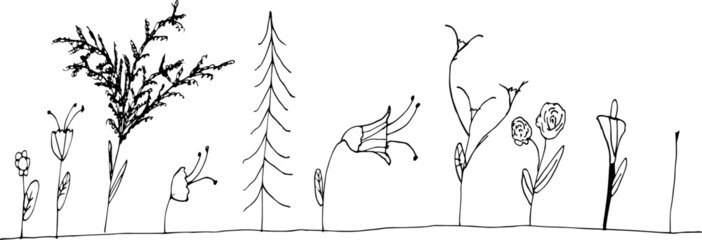 Flowers and grass doodle. Different plants. A set of children's scribbles flowers and grass.