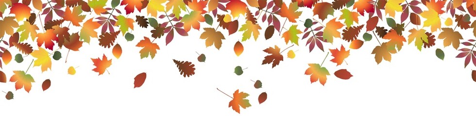 fall colored leaves background