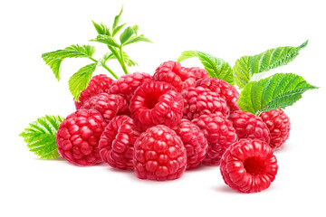 Group of ripe raspberries with leaves isolated on white background. Lots of raspberries.