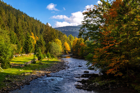 Mountain river in the autumn Carpathians on a sunny day