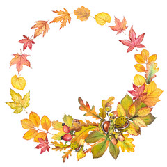Autumn wreath with colorful leaves, chestnuts and acorns. Watercolor illustration isolated on white.