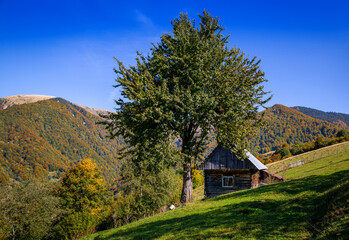 Wooden house for tourists in the autumn Carpathian mountains.