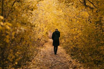 A teenage guy walks alone in a beautiful autumn park.