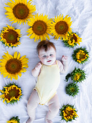 beautiful cute white girl of five months lies in sunflowers