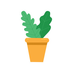 plant in the pot