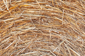 Rural nature in farmlands. Macro shot of golden hey bale. Yellow straw stacked in a roll. Wheat harvest in the summer. Straw textured background