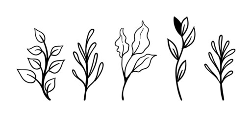 Hand drawn floral elements (laurels, leaves, flowers and branches). Wild and free. For invitations, greeting cards, Wedding Frames, posters. Nature ornaments.