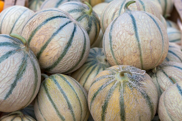 Marktstand mit Melonen