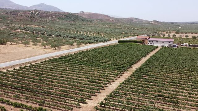 Crete senesi, characteristic landscape in province of at summer.