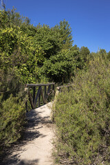 Autumn landscape with lake