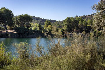 Autumn landscape with lake