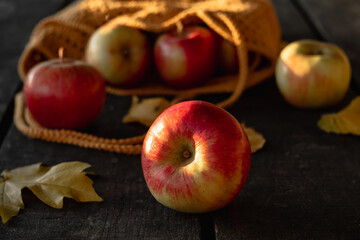 A fresh red apple close-up near a knitted bag on a wooden table in an apple orchard.