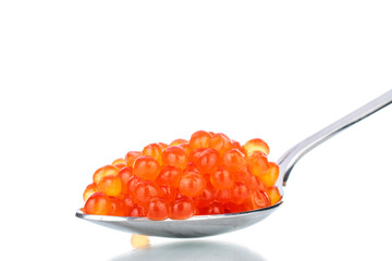 Lightly salted red chum salmon caviar with a metal spoon, close-up, isolated on white.