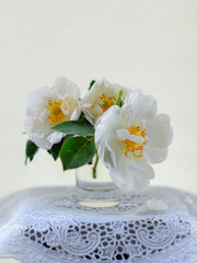 Still life with white rosehip flowers