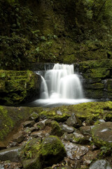 Fototapeta na wymiar New Zealand Rain Forest Waterfall