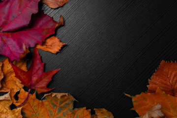 Naklejka na ściany i meble Fallen autumn leaves in the shape of a border, copy space for your text.