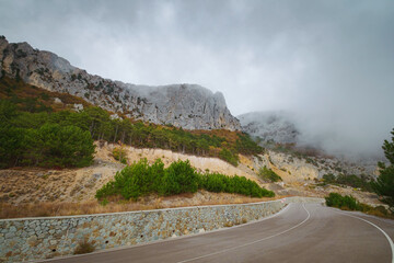 Asphalt road in a summer forest on a cloudy day. Crimean mountains