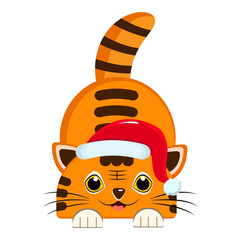 Cartoon christmas tiger - cat vector.  Cut new year tiger - cat. Tiger in santa hat