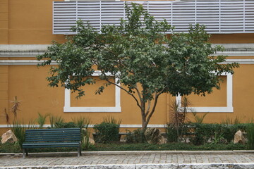 Fototapeta na wymiar bench in the square plants trees empty landscape