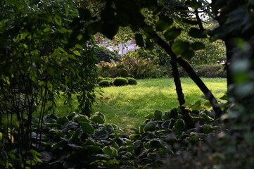 Roślinność © Alfred