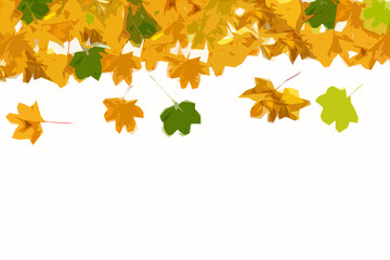 background: autumn maple leaves on white.