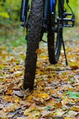 front wheel of a mountain bike. Mountain bike. stands in the forest, in dry autumn leaves. concept of cycling, repair or breakage, sports, outdoor activities. bike on trail, front wheel in focus.
