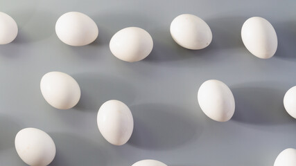 White chicken eggs on a gray background