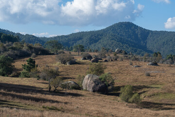 Fototapeta premium paisaje