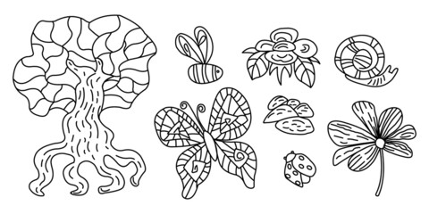 Set of stylized natural elements tree, butterfly, bee, flower, snail, ladybug. Linear contour drawing decorative doodles set of natural stickers.