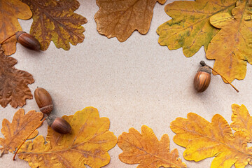 Autumn composition on a neutral background. Bright autumn oak leaves and acorns. Flat lay, top...