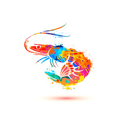 Shrimp. Splash paint vector symbol