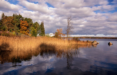 Fototapeta premium Autumn landscape with bay, trees and sky with clouds