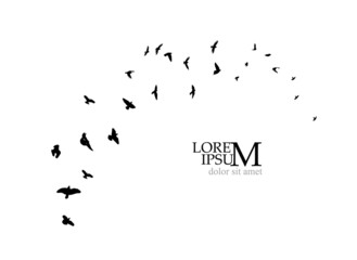 A large flock of flying birds. Free birds. Vector illustration