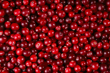 Cranberry red food background, vitamin harvest, closeup of surface