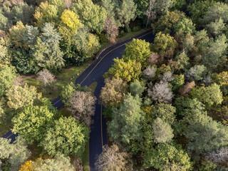 Aerial view of deciduous forest in autumn colors and an asphalt road. Drone photography taken in Sweden in October.