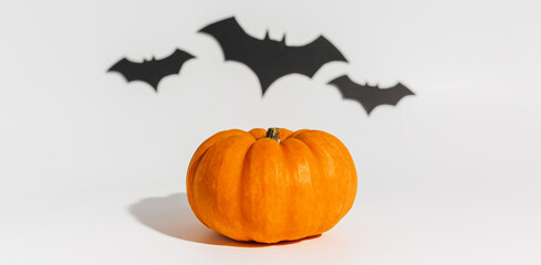 Fresh ripe orange pumpkin on white background. Space with bats Halloween concept