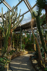 Botanical Garden cacti hallway