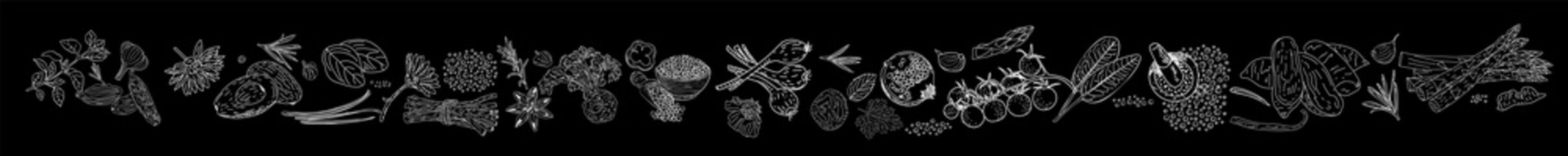 Herbs Spices vector hand drawn collection. Sketch kitchen herbs isolated. Design element for poster, menu, flyer, banner, package.