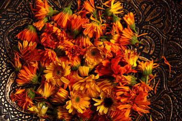 Fototapeta premium Medicinal herbs. Calendula prepared for drying and use in alternative medicine. Orange flower heads close-up