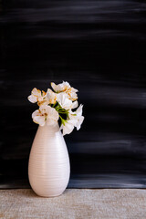 White geranium flowers in a small vase against a dark background; black painted background with small bouquet of flowers in front.