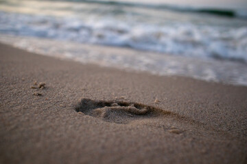 Fototapeta na wymiar footprint on the beach