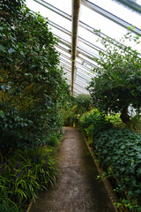 greenhouse hallway in botanical garden