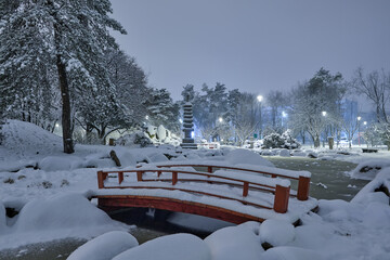 Night city winter park under snowfall with trees covered with frost and snow