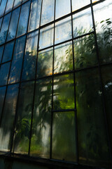 Hazy window Botanical Garden