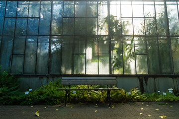 Bench in front of hazy windows Botanical Garden frontal