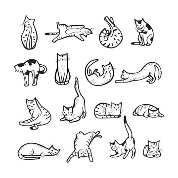  Hand drawn cats in different poses, set of vector illustration