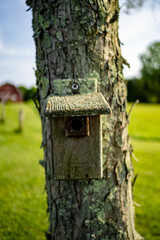 Cox's Creek - Farm
