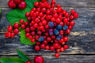 delicious currants are scattered on the background. High quality photo