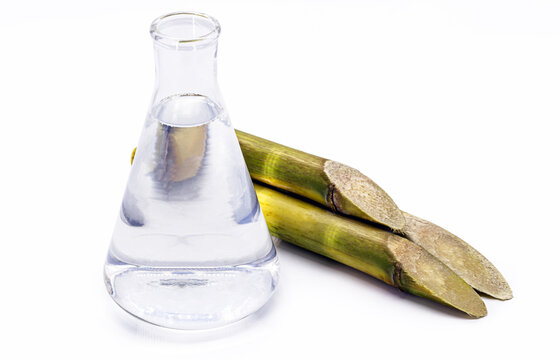 ethanol fuel on isolated white background with sugar cane on the side.