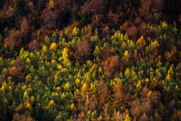 Fototapeta premium autumn in the mountains